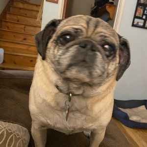 Meet your Posher, Scott